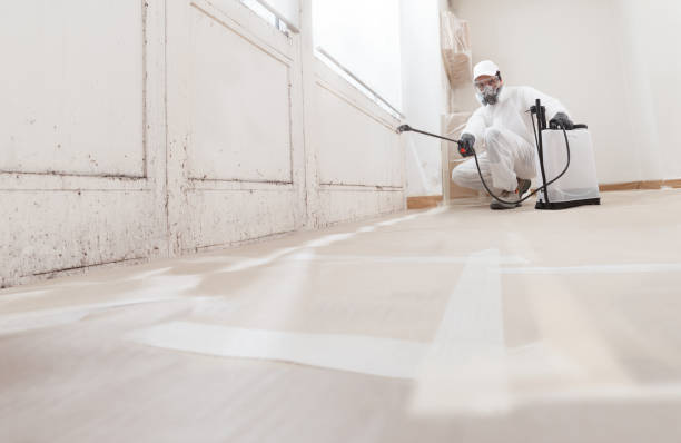 24/7 Emergency Commercial Mold Remediation experts in Oakland, OR